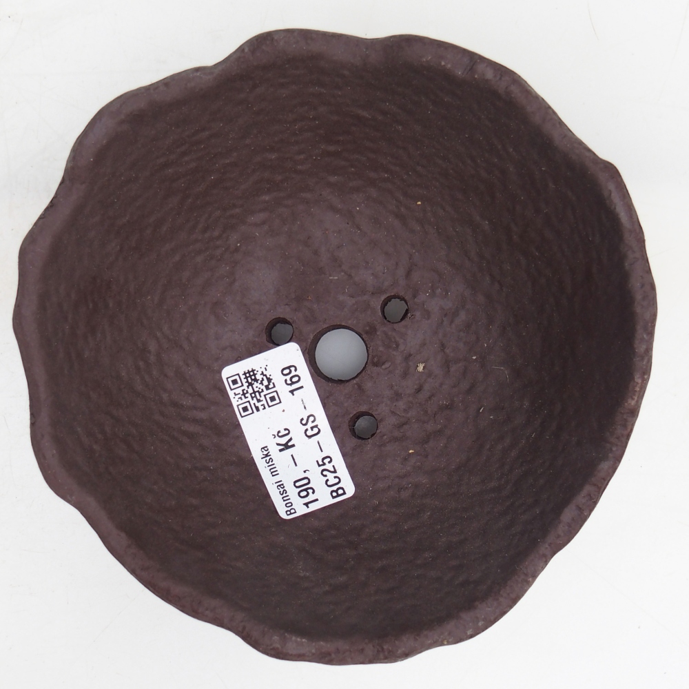 Ceramic Shell 13 x 13 x 5,5 cm , colour brown