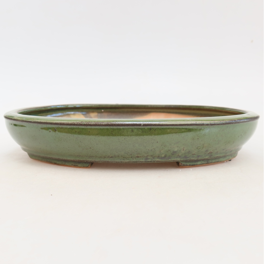 Ceramic bonsai bowl 24,5 x 20 x 4 cm, green