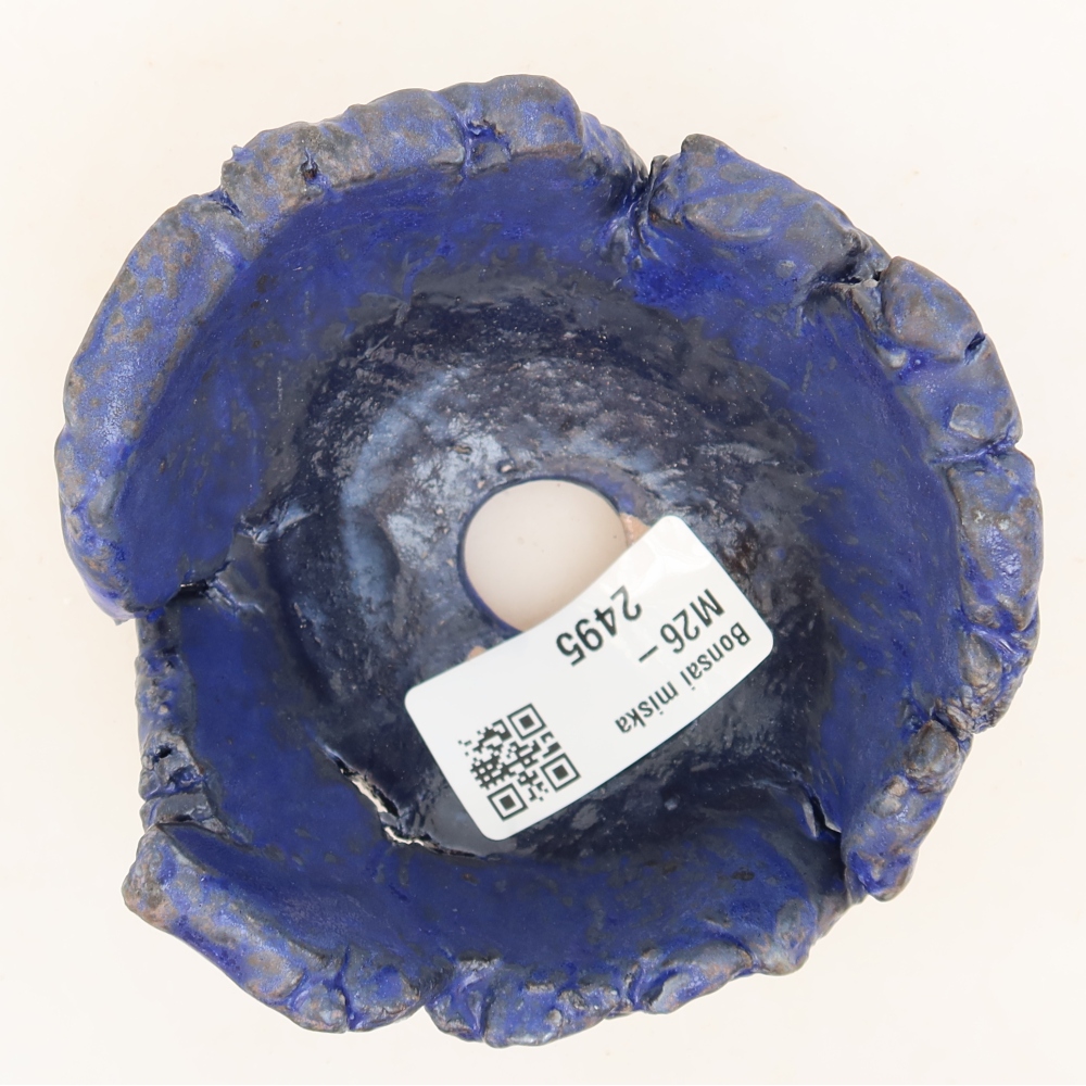 Ceramic Shell  10 x 9.5 x 5.5 cm, blue