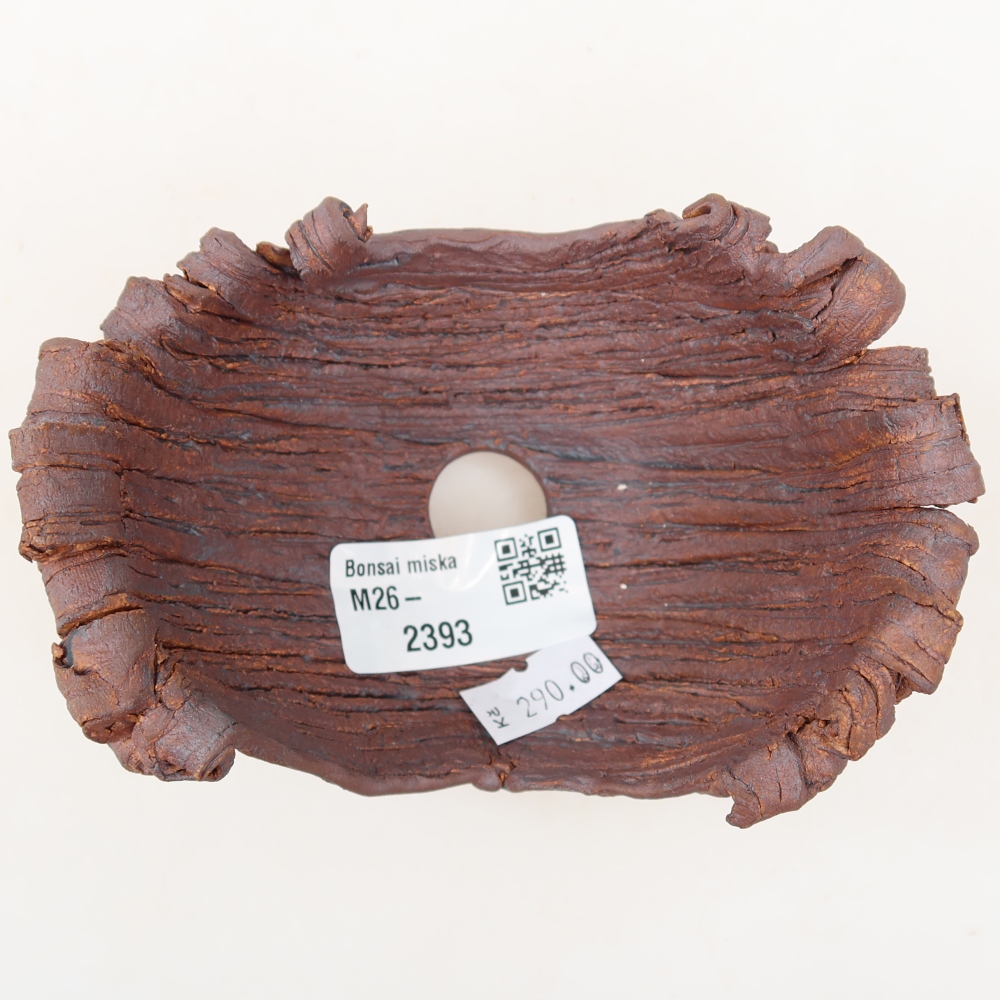 Ceramic Shell, 12 x 8 x 7 cm, brown