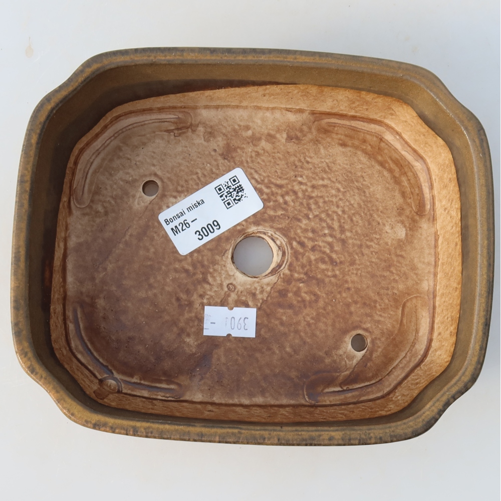 Ceramic bonsai pot, 17.5 x 14.5 x 5 cm, brown