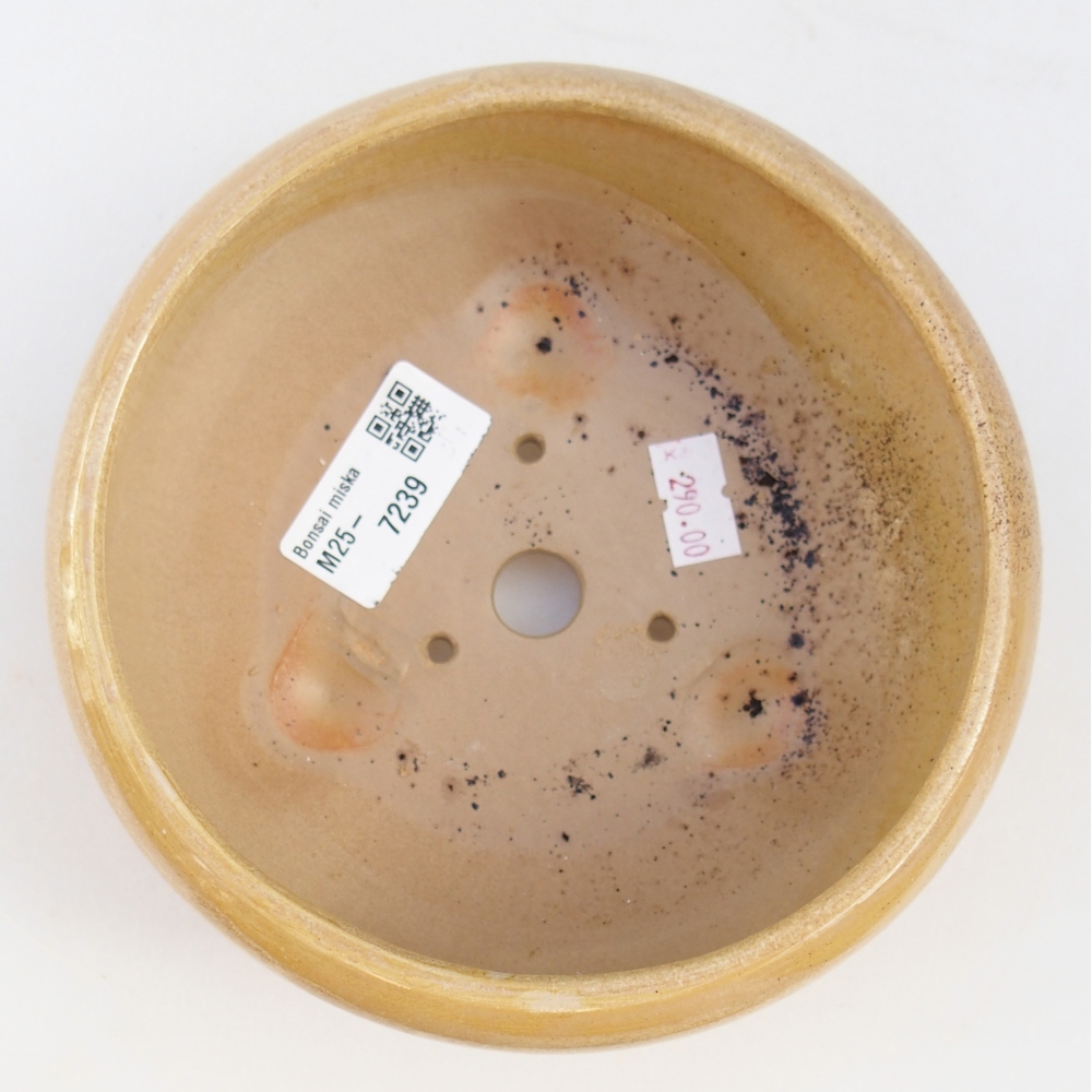 Ceramic bonsai bowl 14,5 x 14,5 x 7 cm, colour beige