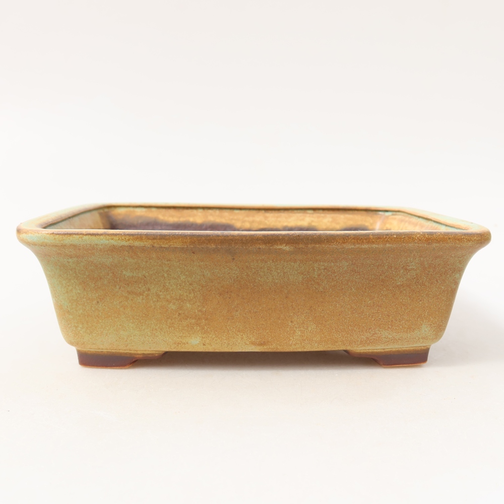 Ceramic bonsai pot, 17.5 x 14.5 x 5.5 cm, green