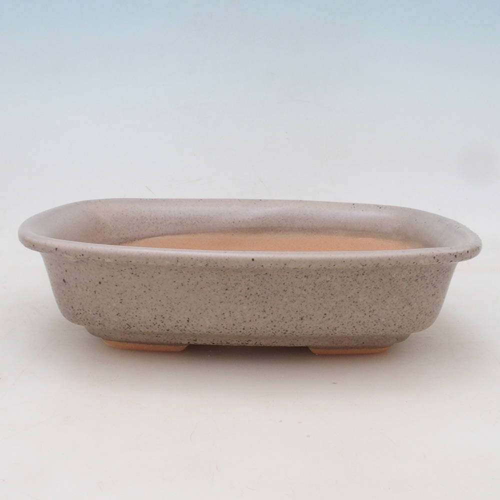 Bonsai bowl + saucer H02 - beige