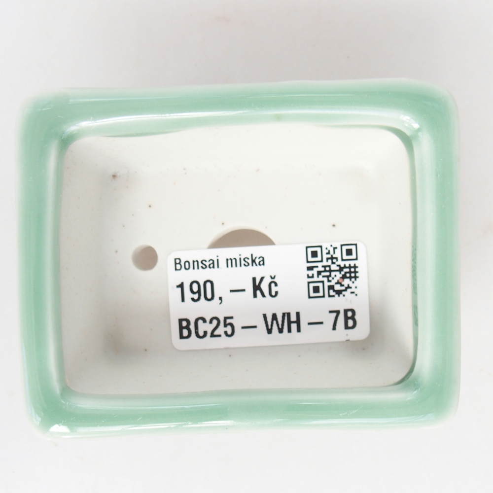 Mini bonsai bowl 8 x 6 x 3 cm, green