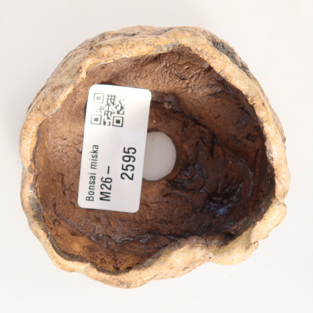 Ceramic Shell, 7.5 x 6.5 x 5 cm, brown