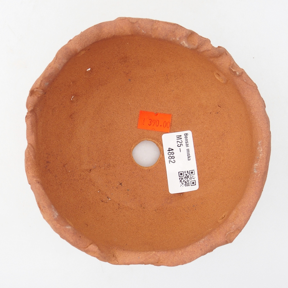 Ceramic Shell 13 x 14 x 9,5 cm, color: red
