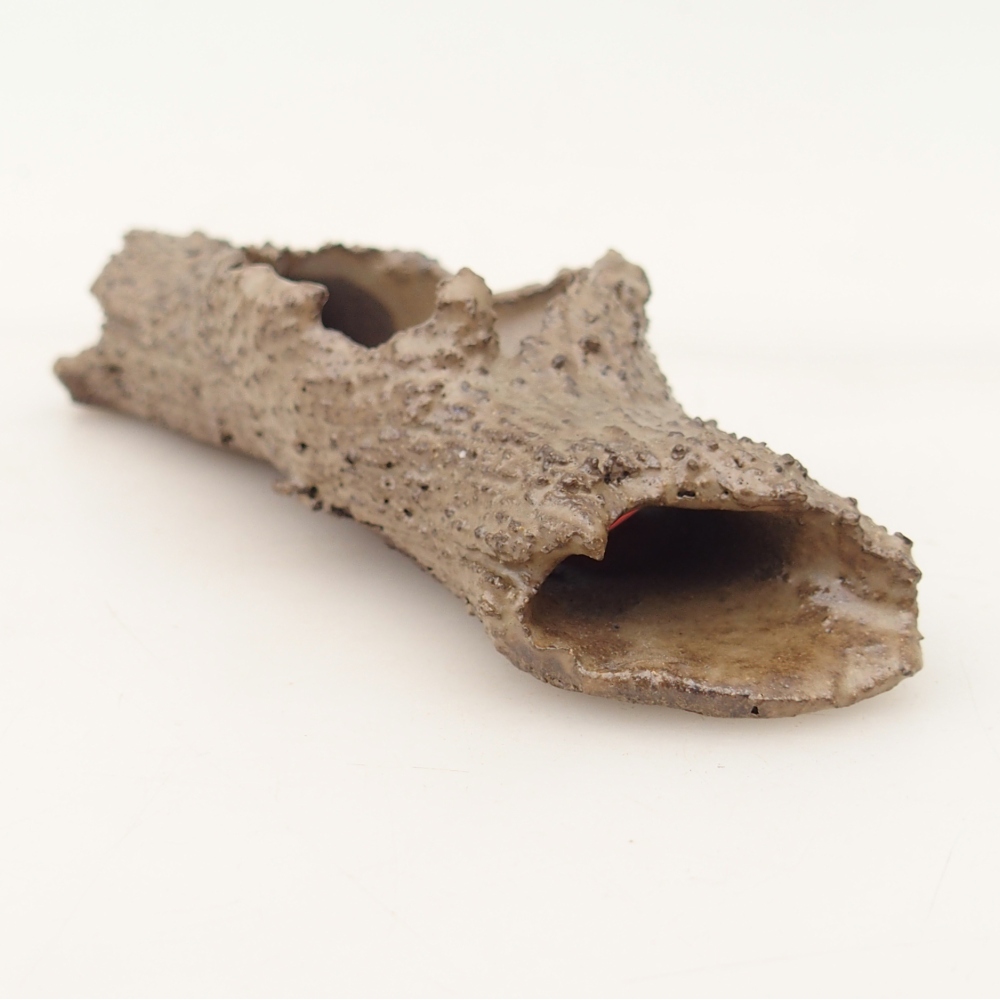 Ceramic Shell 15 x 5 x 3 cm , colour beige