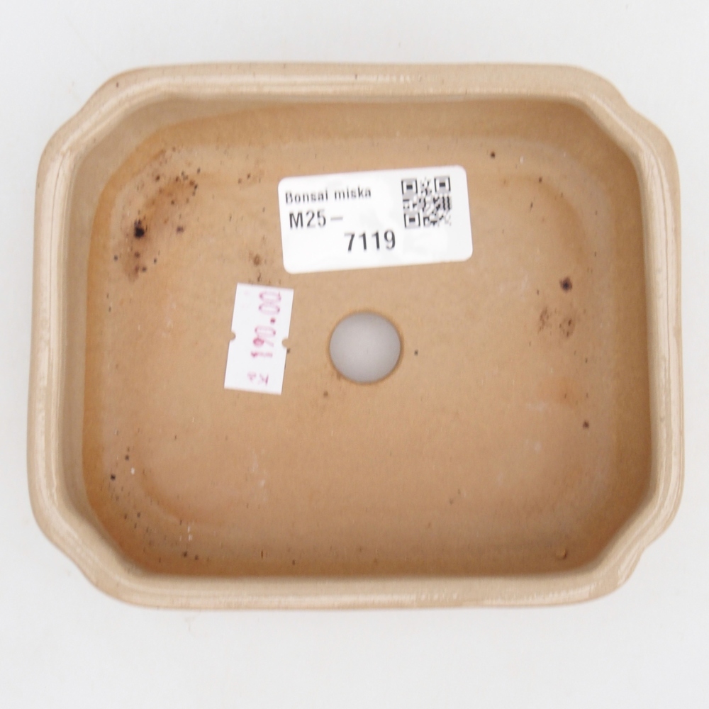 Ceramic bonsai bowl 12 x 10 x 4 cm, colour beige