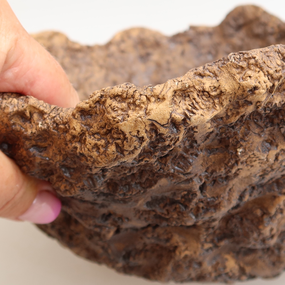 Ceramic Shell, 23.5 x 20 x 16.5 cm, brown