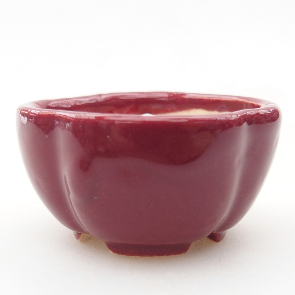 Mini bonsai bowl 4 x 4 x 2 cm, burgundy