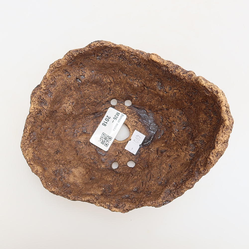 Ceramic Shell, 15 x 12 x 12.5 cm, brown