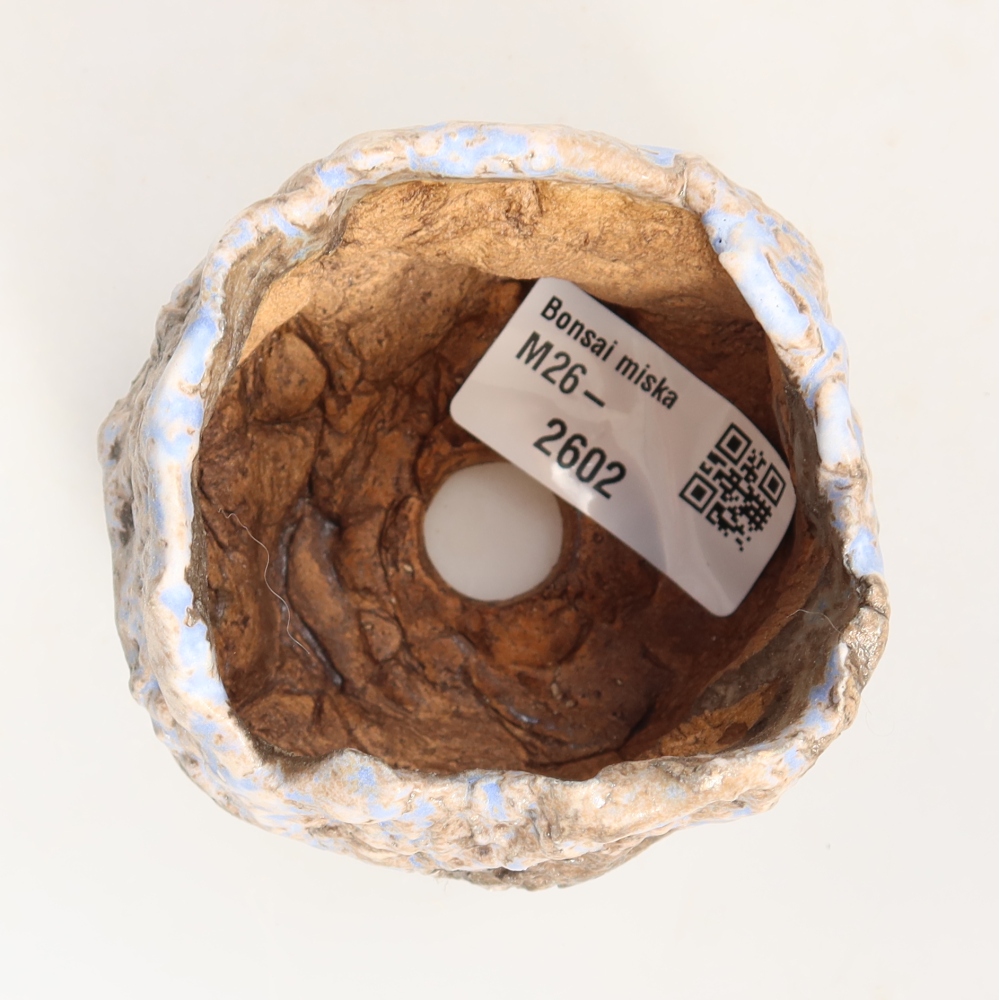 Ceramic Shell, 7 x 7 x 6 cm, blue-brown