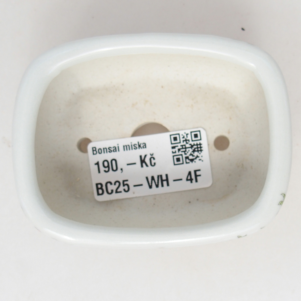 Mini bonsai bowl 8 x 6 x 3 cm, white