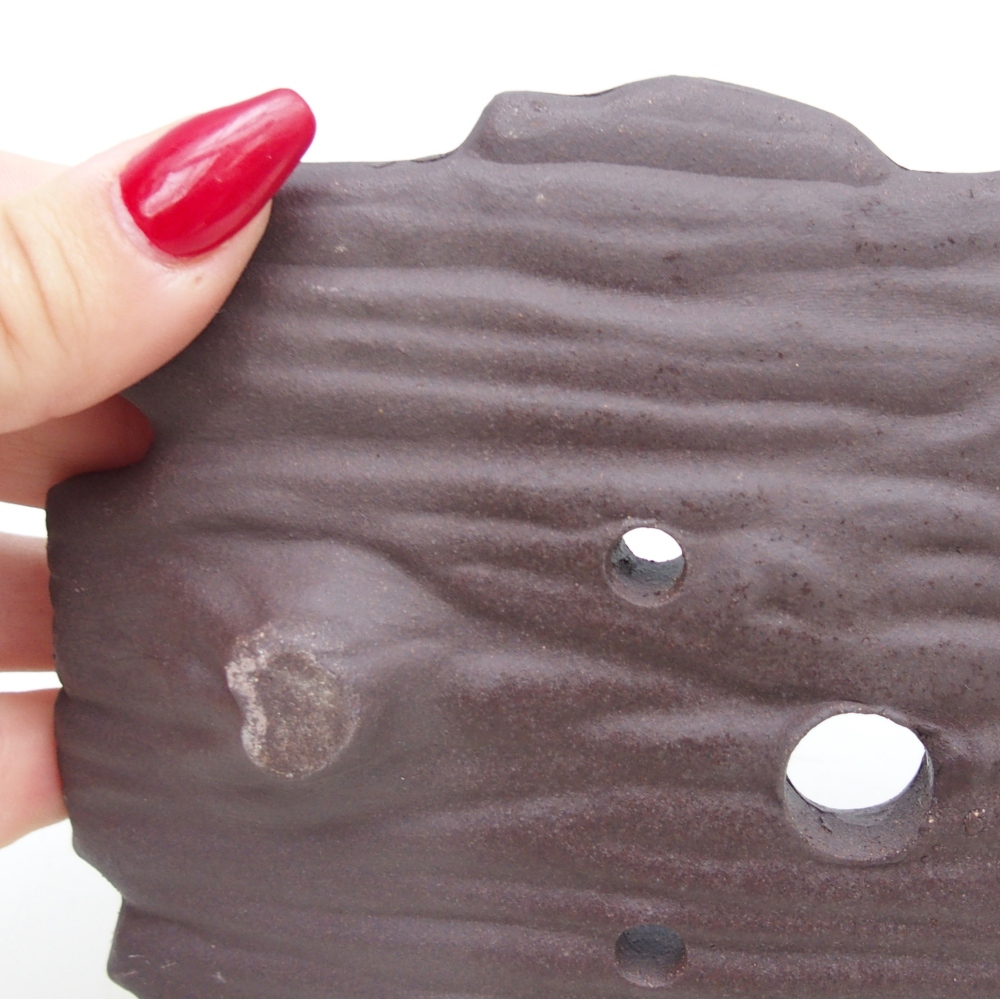 Ceramic shell 16 x 12 x 3 cm , colour brown