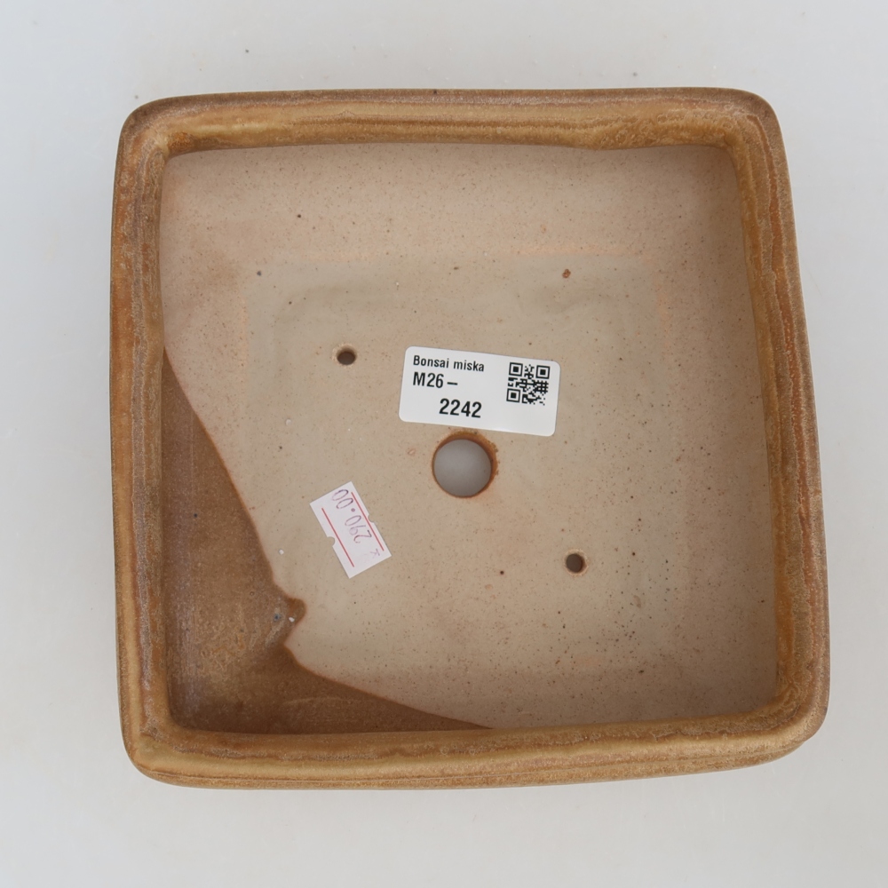 Ceramic bonsai pot, 15.5 x 15.5 x 6 cm, beige
