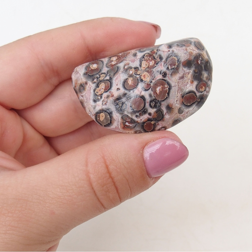 Suiseki - Stone with DAI (wooden pad)