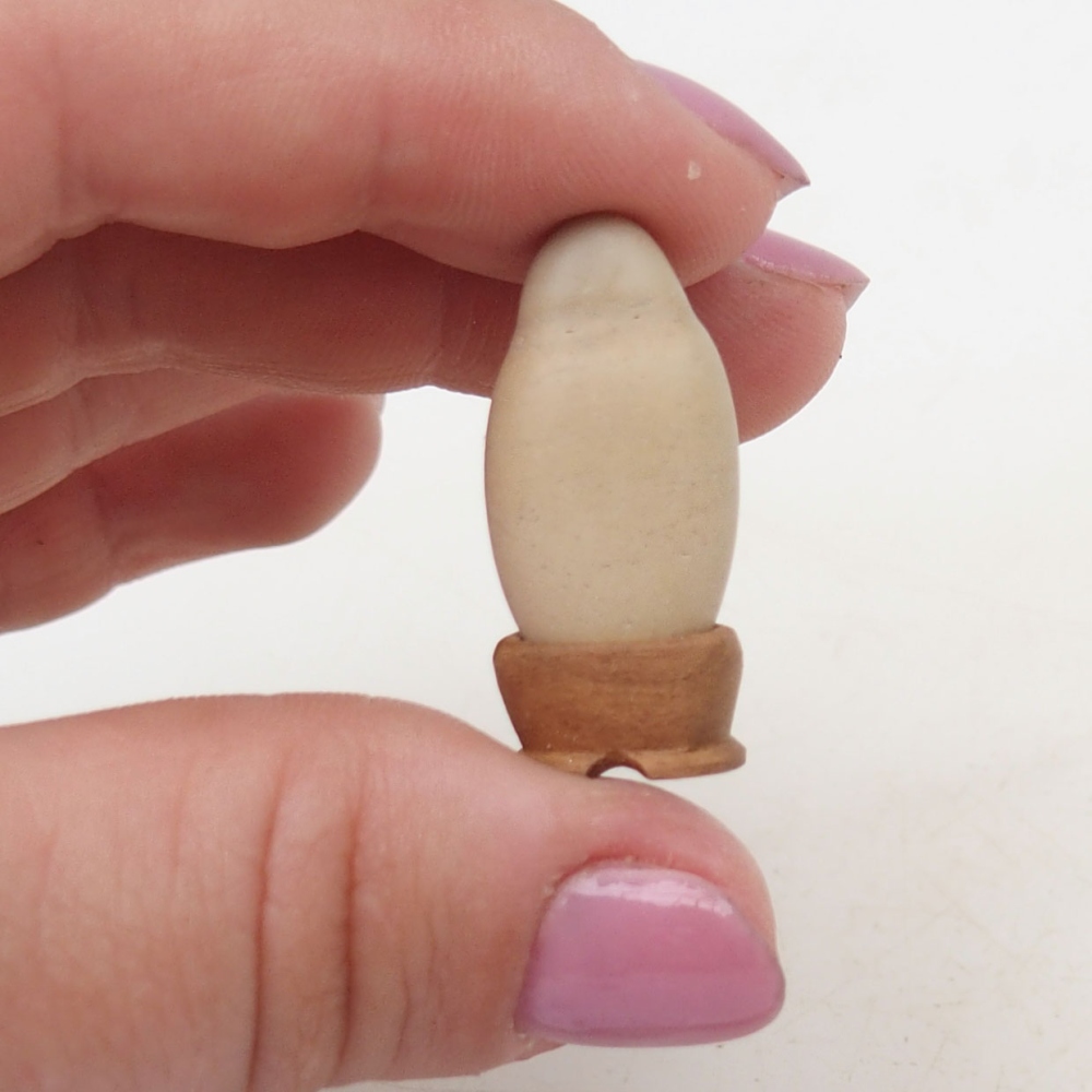 Suiseki - Stone with DAI (wooden pad)