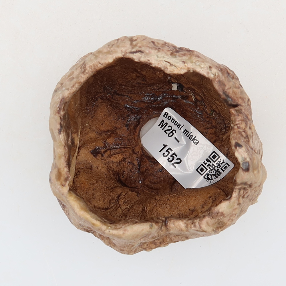 Ceramic Shell, 6 x 6 x 6 cm, beige-brown