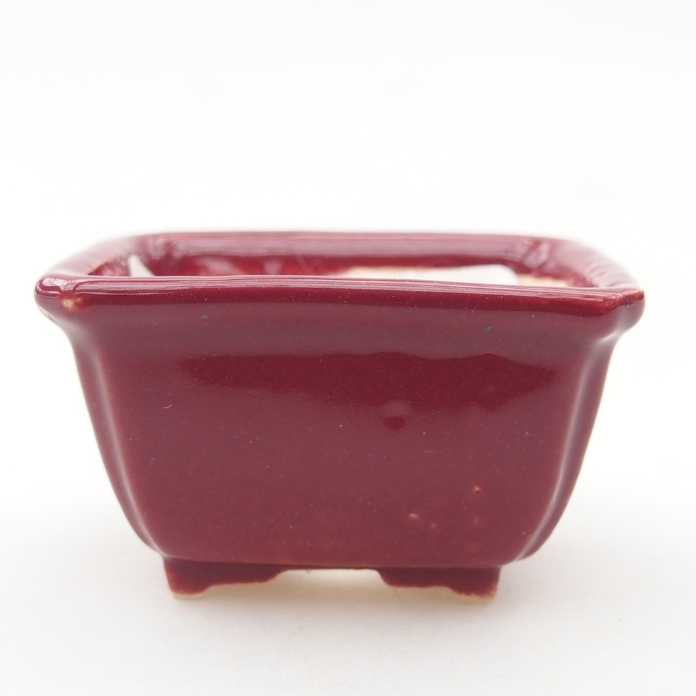 Mini bonsai bowl 4,5 x 3,5 x 2,5 cm, burgundy