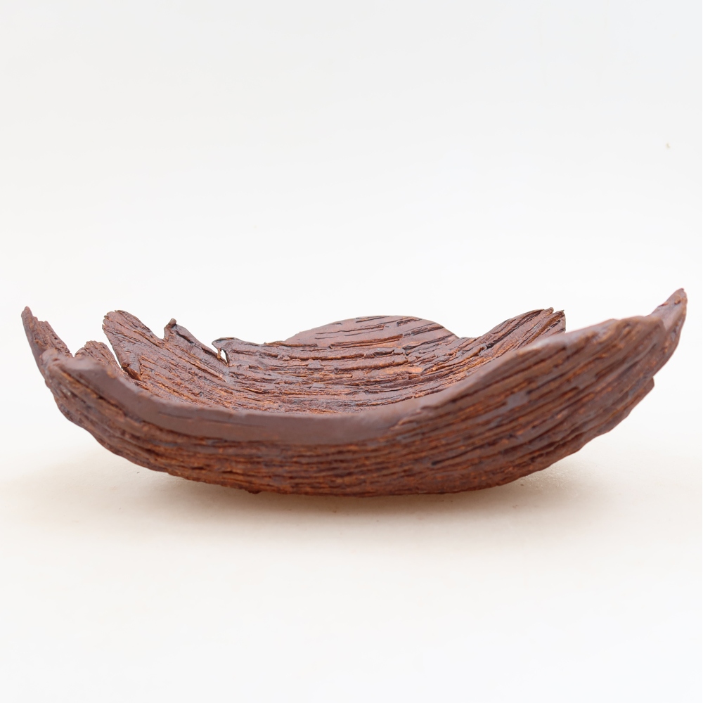 Ceramic Shell  20 x 15.5 x 6 cm, brown
