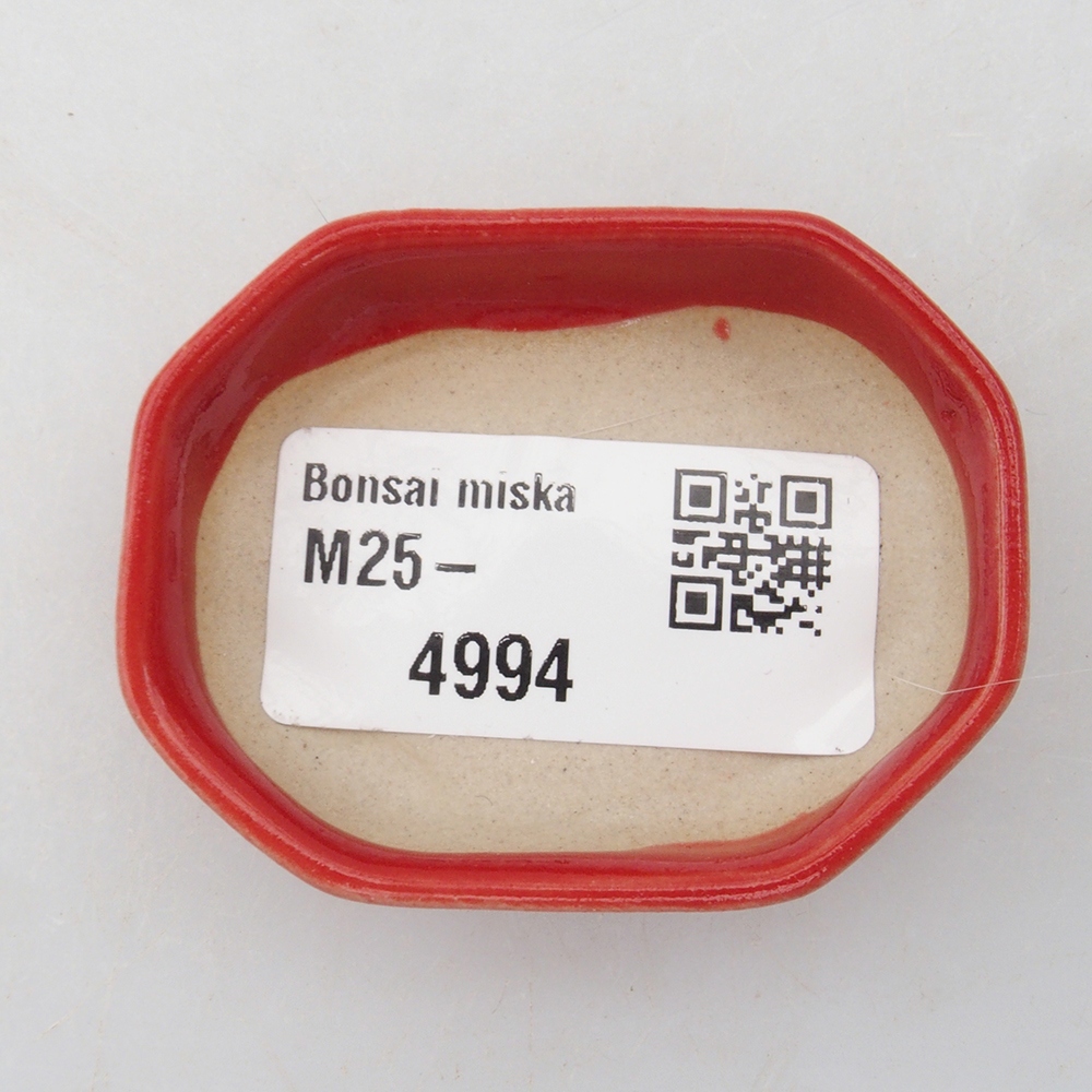 Mini bonsai bowl 5,5 x 4 x 1,5 cm, color red
