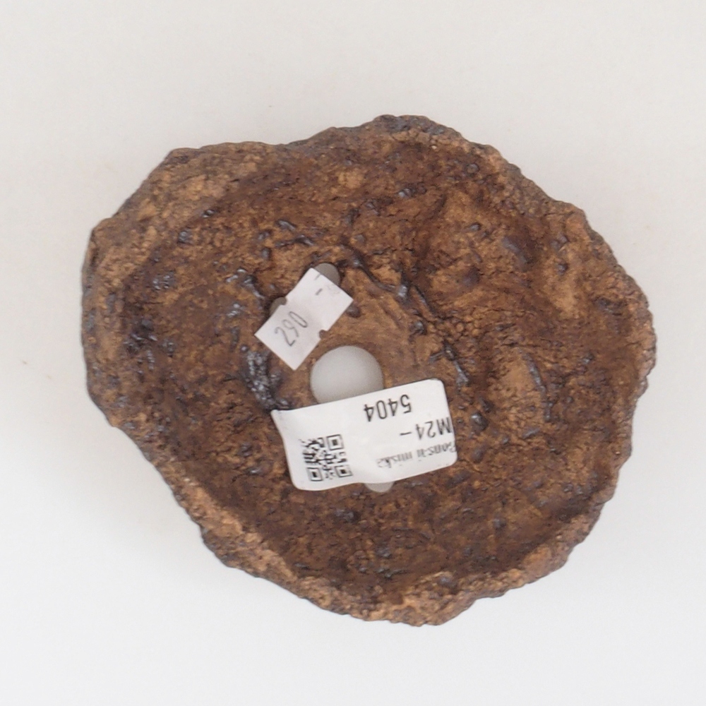 Ceramic shell 10 x 8 x 10 cm, brown color