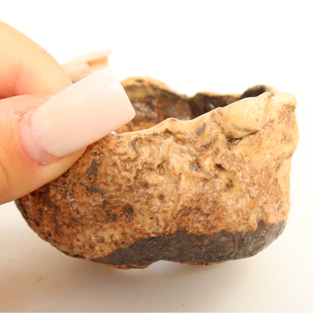 Ceramic Shell, 7.5 x 6.5 x 5 cm, brown