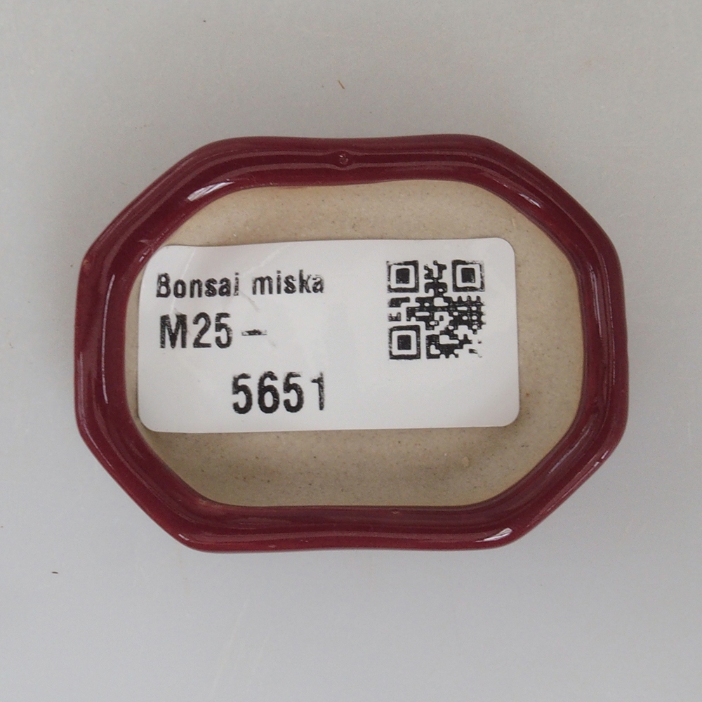 Mini bonsai bowl 5,5 x 4 x 1,5 cm, color burgundy