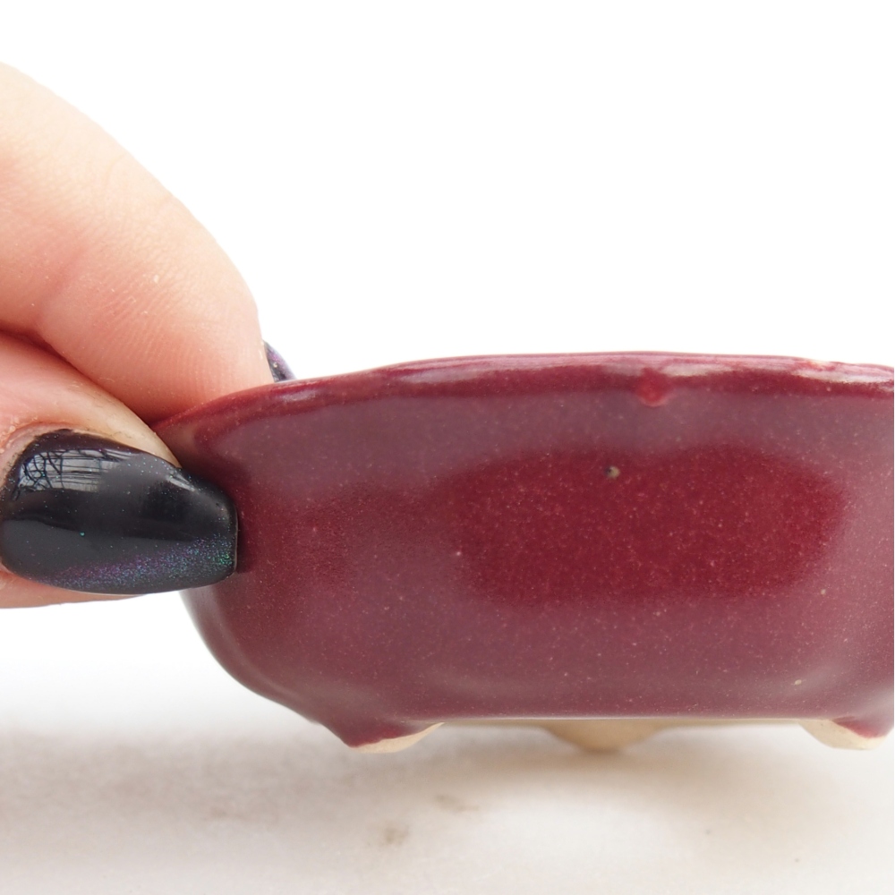 Mini bonsai bowl 7,5 x 7,5 x 2,5 cm, burgundy