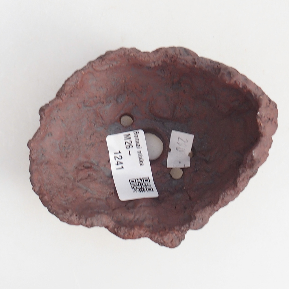 Ceramic Shell 10 x 8 x 8,5 cm , colour brown