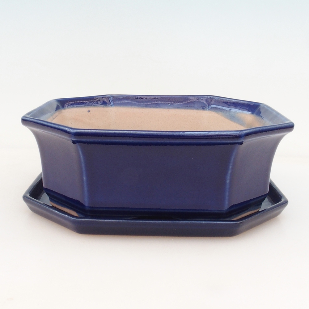 Bonsai bowl + bowl H14 - blue