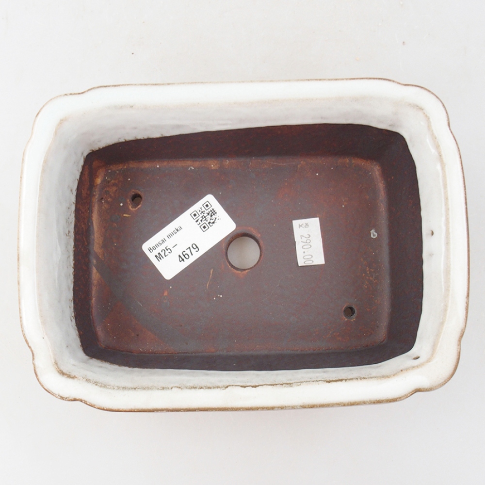 Ceramic bonsai bowl 17 x 13 x 6 cm, color white