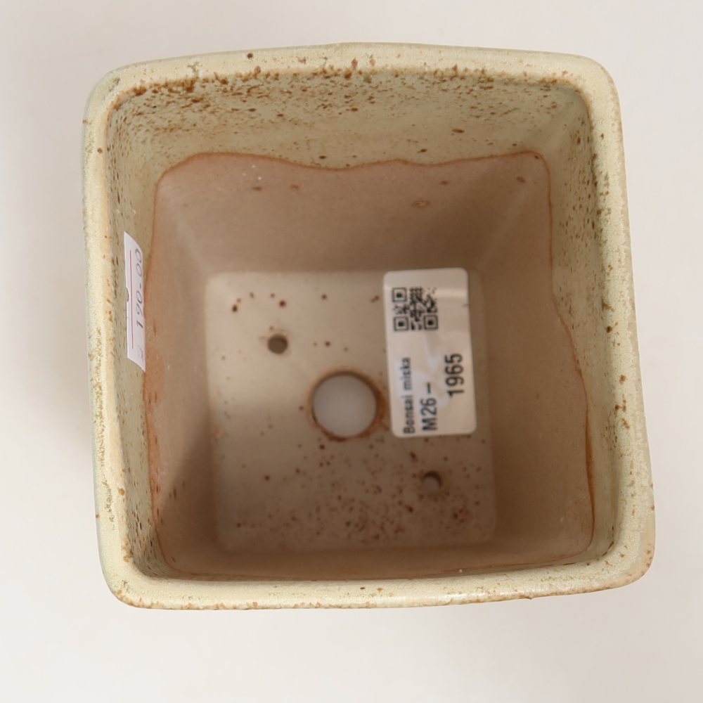 Ceramic bonsai pot, 9 x 9 x 11 cm, green