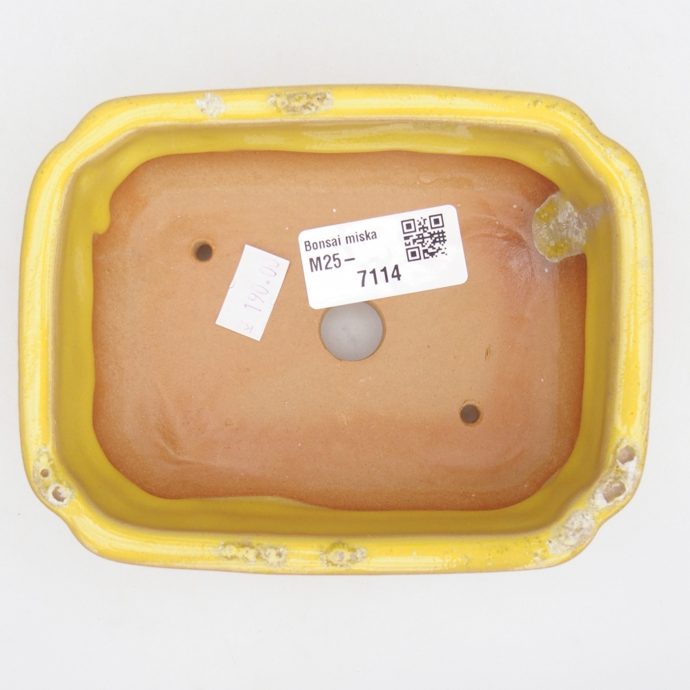 Ceramic bonsai bowl 14 x 11 x 4 cm, yellow