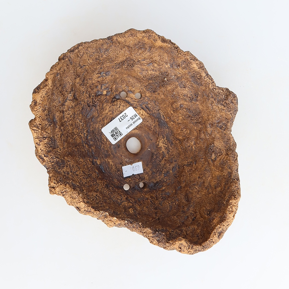 Ceramic Shell, 19.5 x 16 x 13 cm, brown