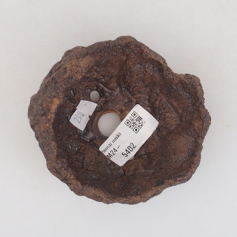 Ceramic shell 9 x 8 x 9,5 cm, brown color