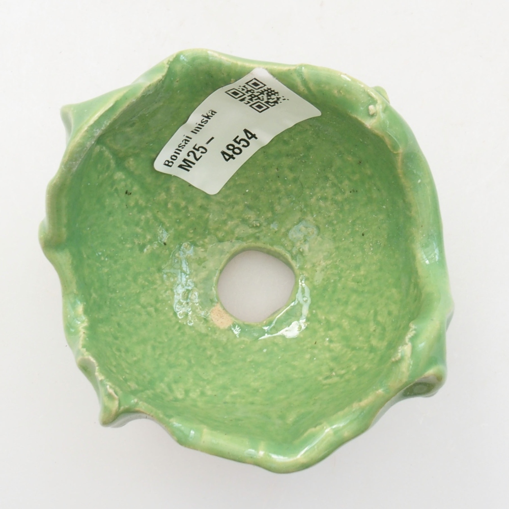 Ceramic shell 7 x 7 x 6 cm, color green