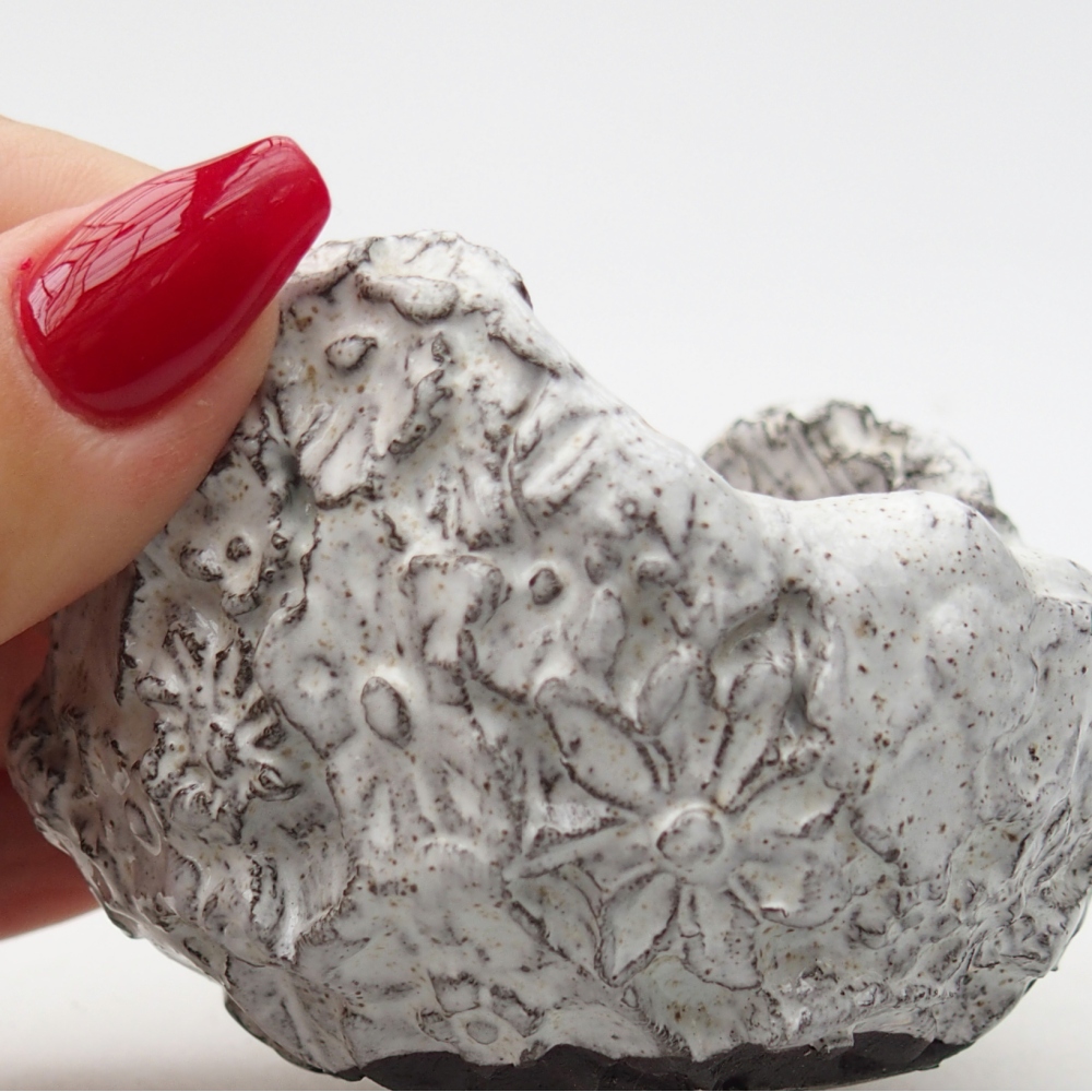 Ceramic Shell 7 x 6,5 x 5,5 cm , colour white