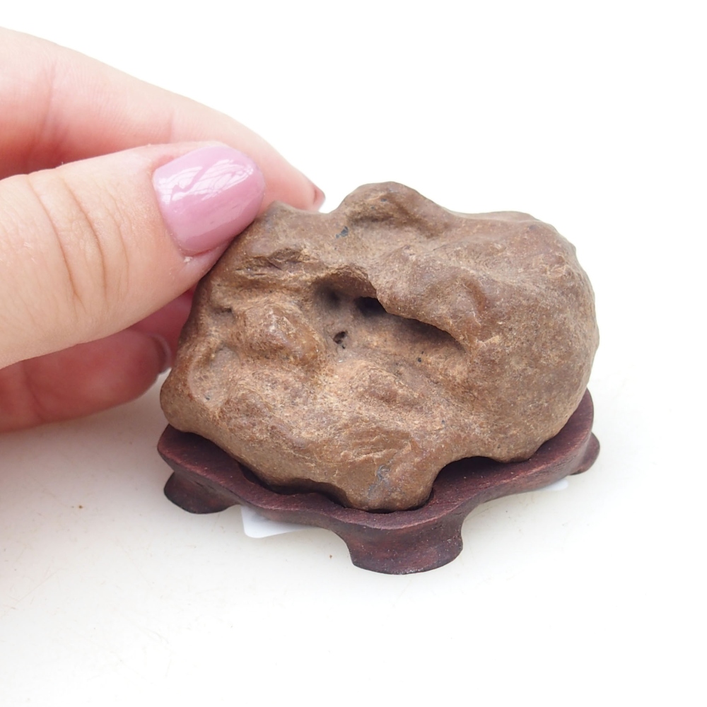 Suiseki - Stone with DAI (wooden pad)