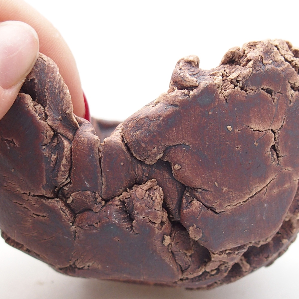 Ceramic Shell 10 x 9,5 x 6 cm , colour brown