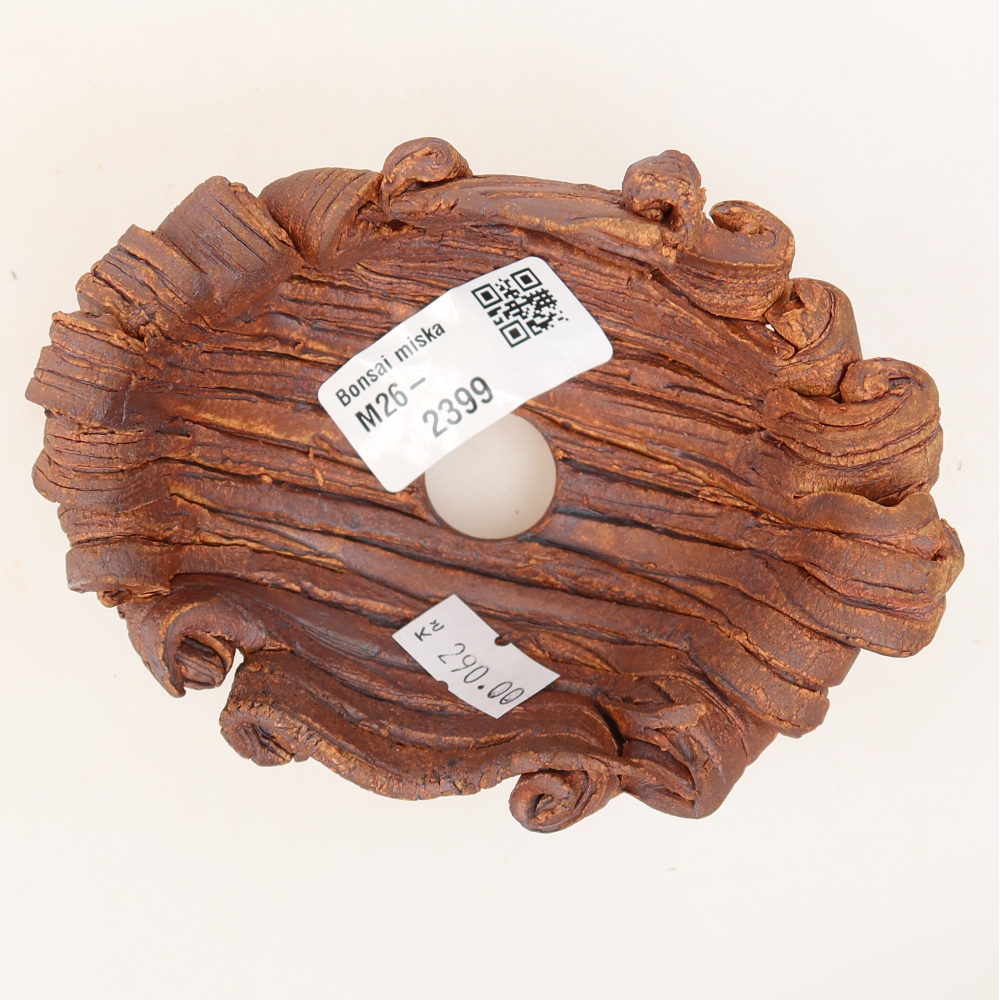Ceramic Shell  11.5 x 8.5 x 6.5 cm, brown