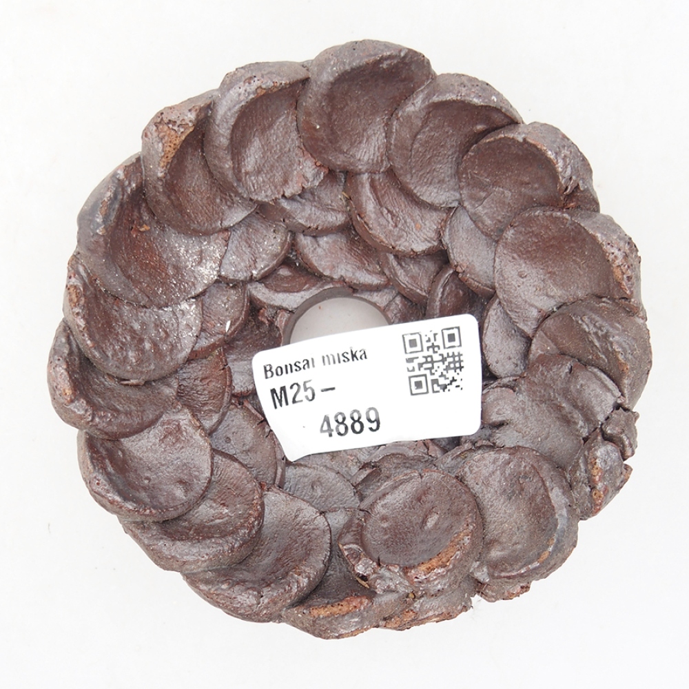 Ceramic shell 9 x 9 x 4 cm, color brown