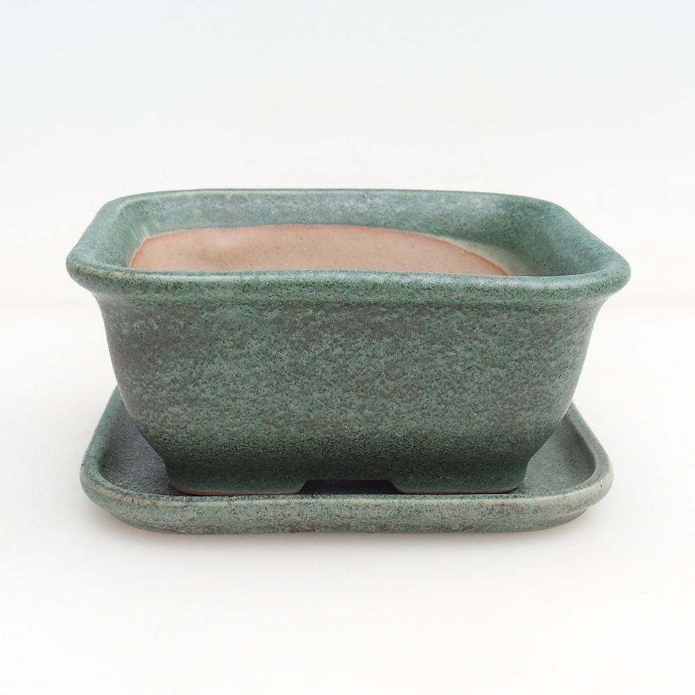 Bonsai bowl + saucer H38 - 12 x 10,5 x 5 cm.
