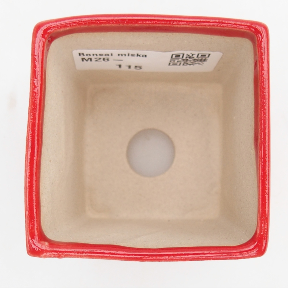 Mini bonsai bowl 5,5 x 5,5 x 6,5 cm, colour red