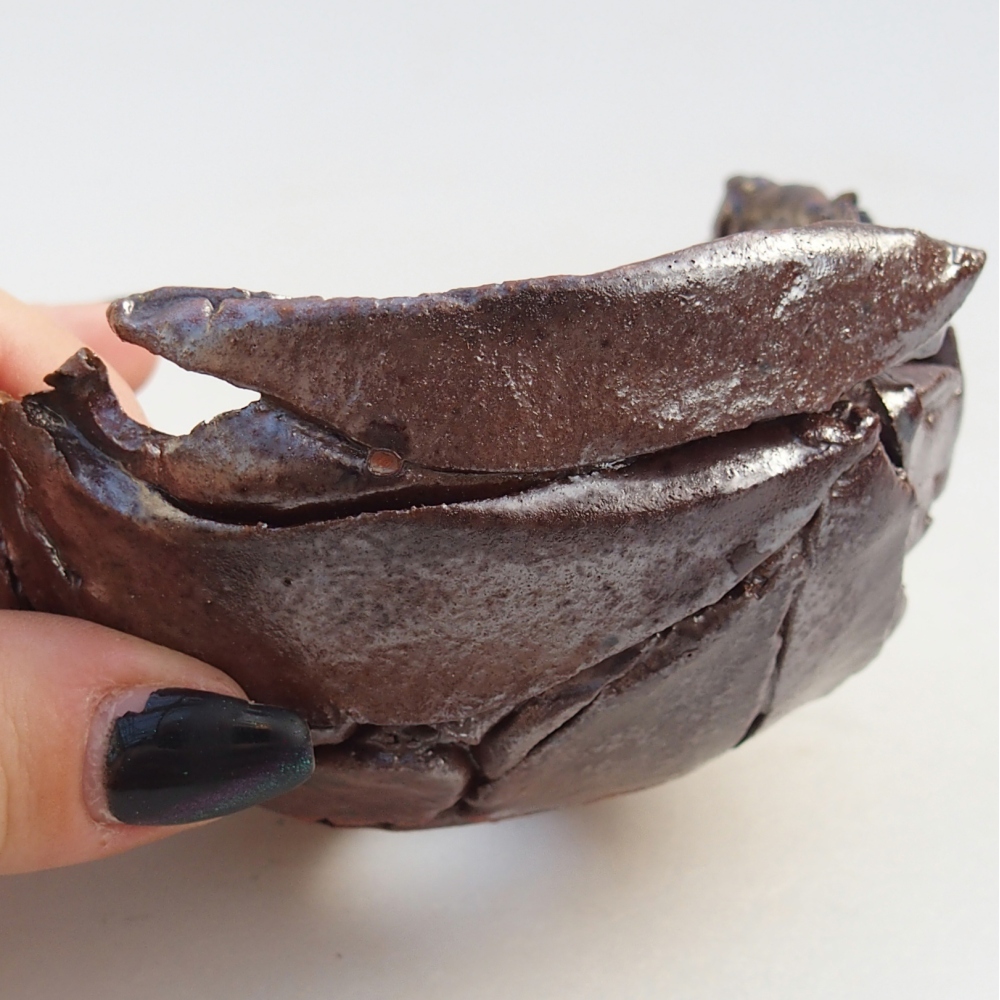 Ceramic Shell 10 x 10 x 6 cm , colour brown