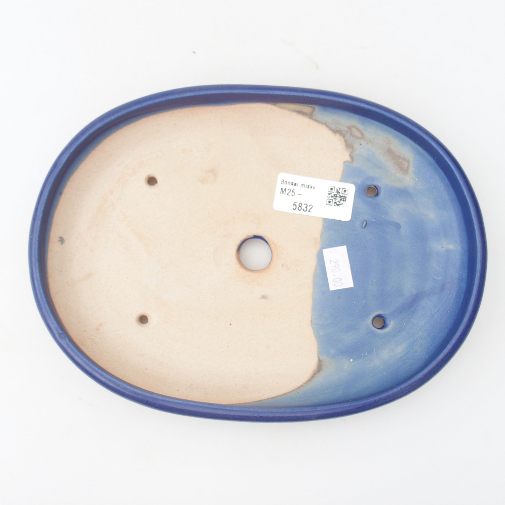 Ceramic bonsai bowl 22,5 x 17 x 3 cm, color blue