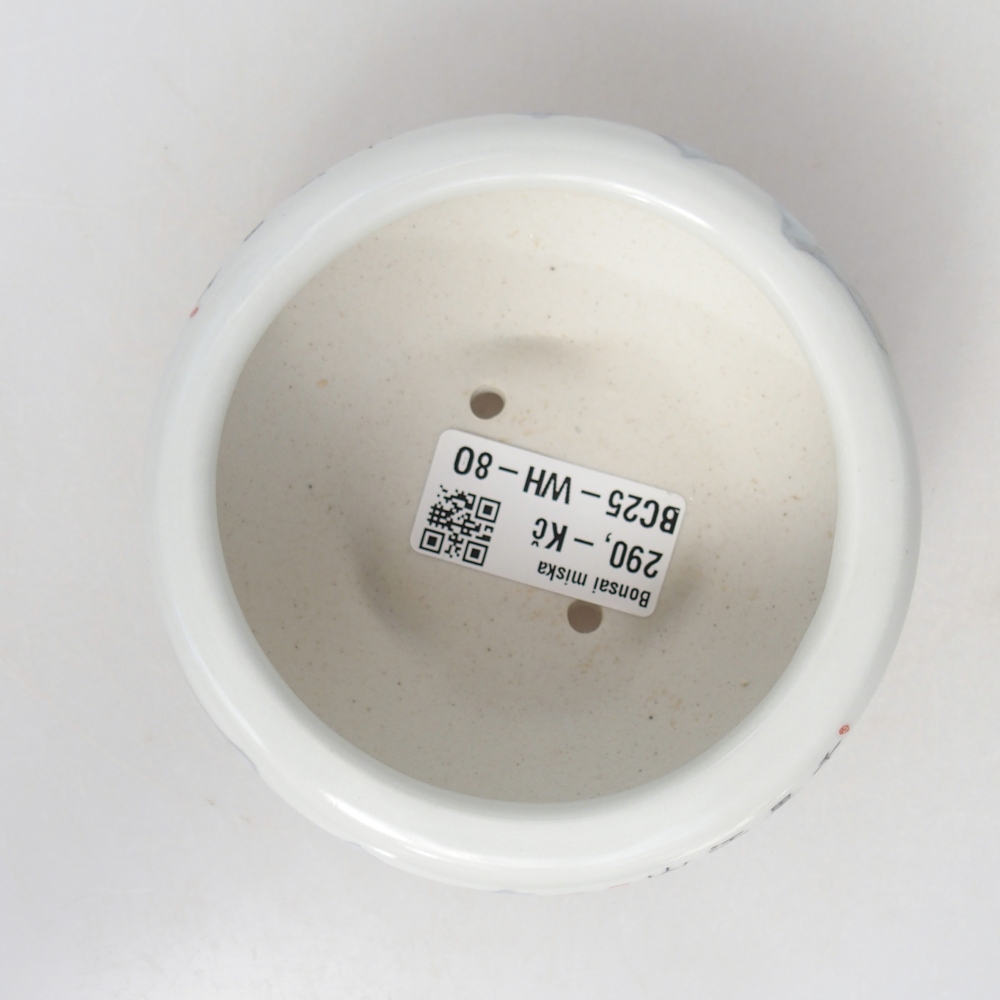 Ceramic bonsai bowl 10 x 10 x 5 cm, colour white