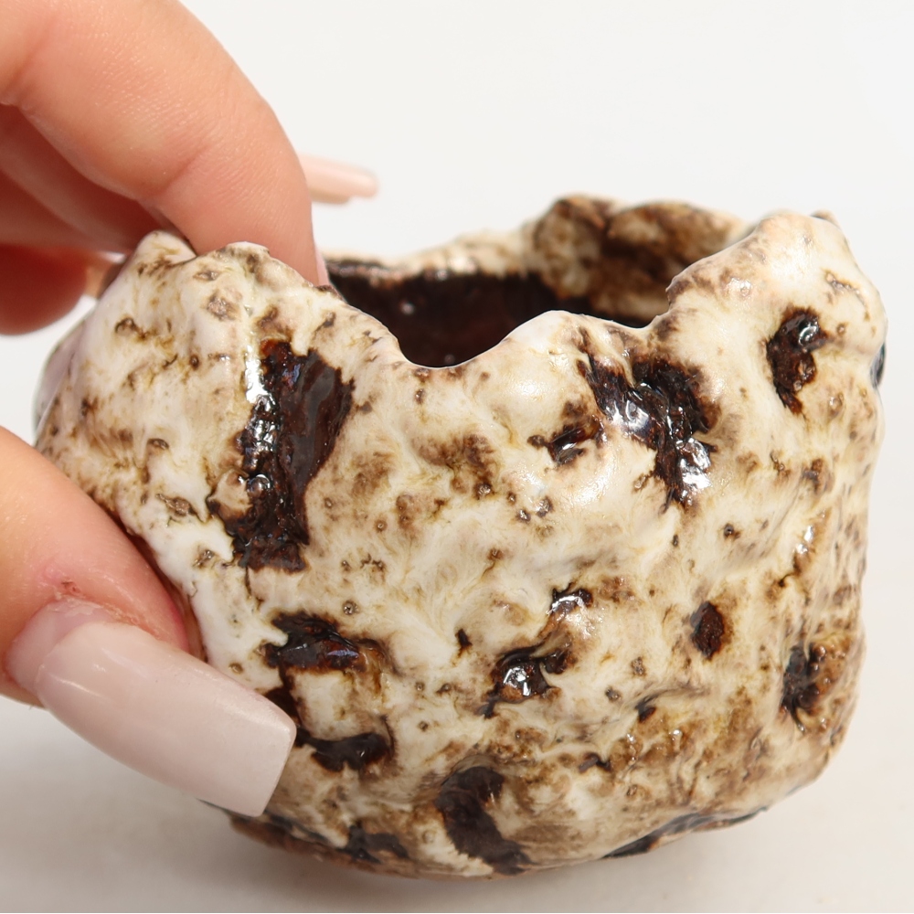 Ceramic Shell, 7.5 x 7.5 x 6 cm, white-brown