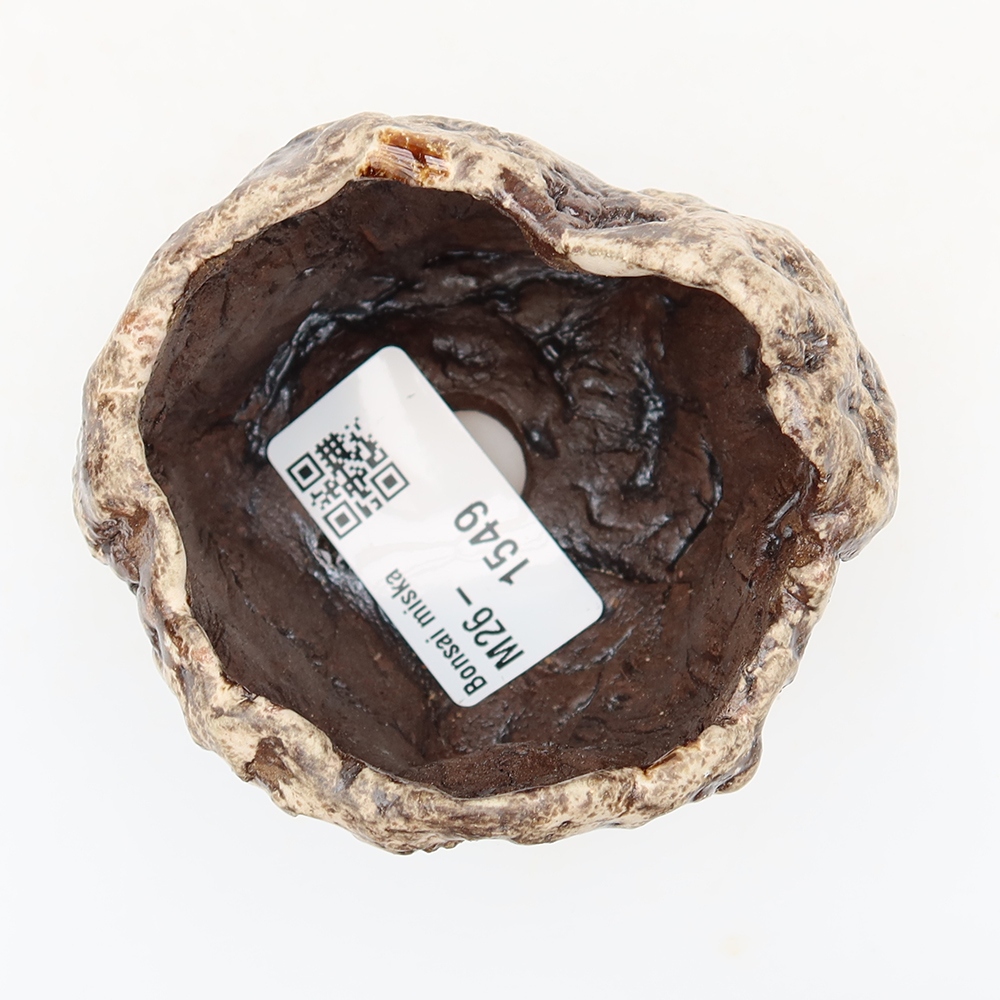 Ceramic Eggshell  6.5 x 5.5 x 6 cm, brown-white